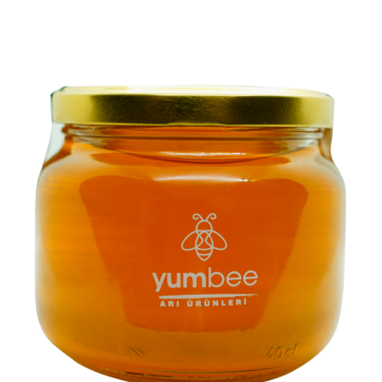 Yüksek Rakım Yayla Çiçek Balı (500g)